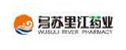 合作伙伴 合作伙伴